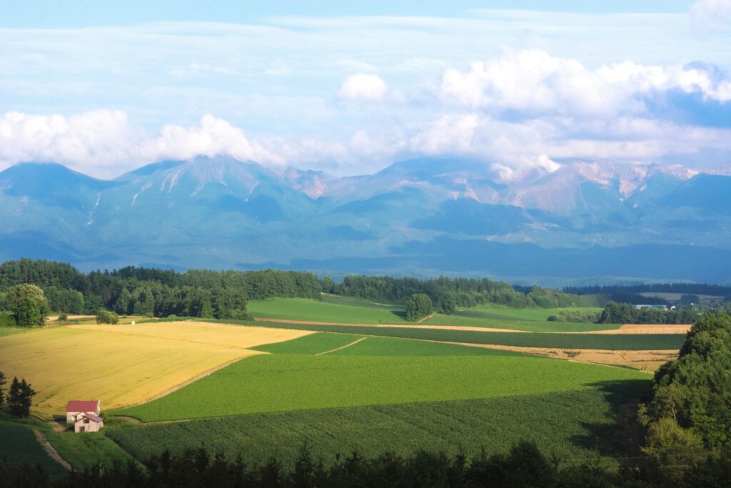 Hokkaido nature ski randonnée